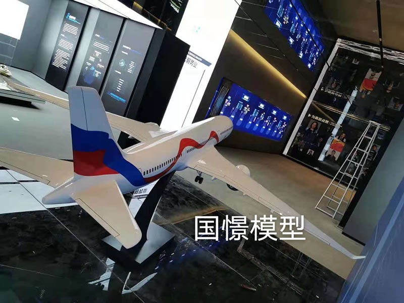 绥滨县飞机模型