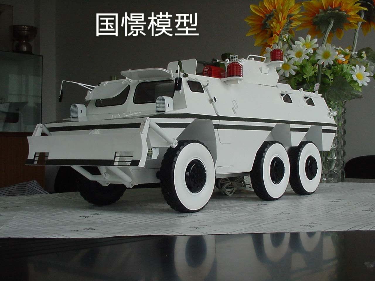 绥滨县军事模型